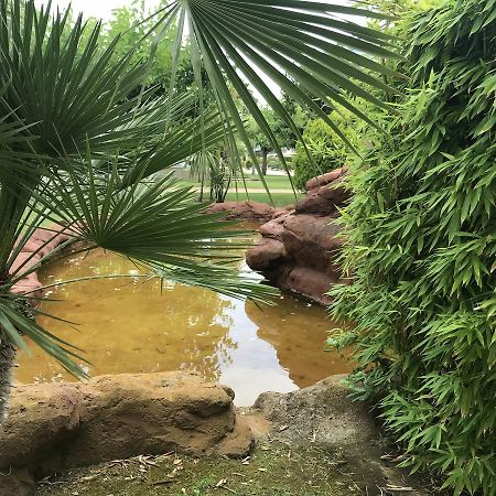 Saval Los Juncos La Pineda Dış mekan fotoğraf